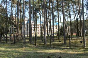 Zahrada ubytování Apartament "Zacisze"