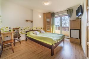 1 dormitorio con 1 cama, escritorio y TV en Aleksandra, en Jastarnia