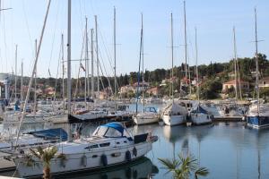 a bunch of boats docked in a harbor at Mama's & Papa's house in Vrboska