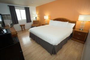 Postel nebo postele na pokoji v ubytování Econo Lodge Alliance