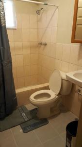 a bathroom with a toilet and a shower and a sink at 2 BEDROOM / 1 BATH ONLY 9 MILES TO NAVY BASE in Sinajana