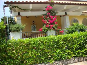 Zahrada ubytování B&B La Dimora Di Alfonso + 21 fotografií