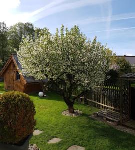 Zahrada ubytování Haus Ilsegarten