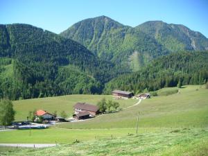a green field with houses and mountains in the background at Bichlhof Riedenberg in Thiersee