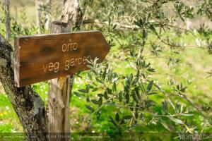 Paesaggio naturale nelle vicinanze dell'agriturismo