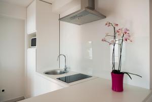 uma cozinha com um lavatório e um vaso com flores num balcão em Villa Paulina em Brela