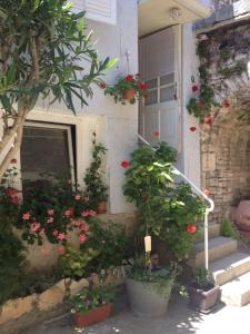 Zahrada ubytování Apartmani Vela Luka