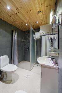 a bathroom with a toilet and a sink and a shower at Hotel Uitonniemi in Kemijärvi
