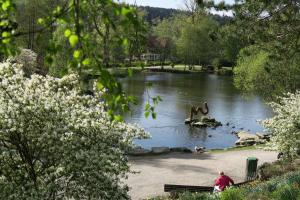 Příroda nedaleko apartmánu