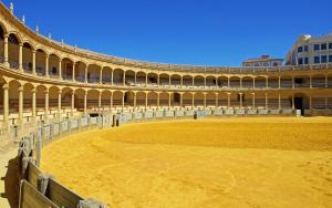 Fotografie z fotogalerie ubytování Apartamento Ciudad del Tajo v destinaci Ronda