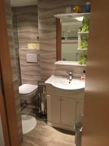 La salle de bains est pourvue d'un lavabo, de toilettes et d'un miroir. dans l'établissement Apartma Metka, à Mojstrana