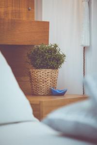 Ένα ή περισσότερα κρεβάτια σε δωμάτιο στο Enpy
