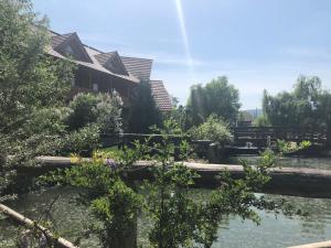Gallery image of Pensiunea LA Pintea Haiducu in Deseşti