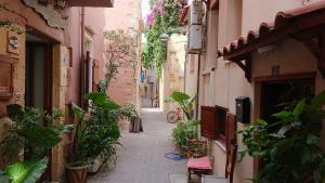 an alley with plants in an alley way at Maro Rooms in Chania