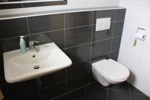 ein Badezimmer mit Waschbecken und Toilette in der Unterkunft Apartment Pinta in Pag + 29 Fotos