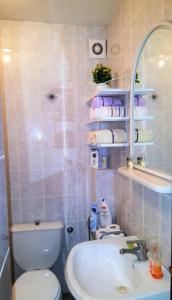 a bathroom with a white toilet and a sink at Apartment Sara in Podgorica +22 photos