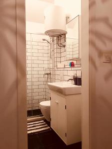 La salle de bains est pourvue de toilettes, d'un lavabo et d'un miroir. dans l'établissement Villa San Marco, à Hvar