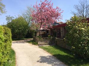 Zahrada ubytování Brissago