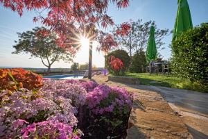 Zahrada ubytování Villa Arbanashki Han
