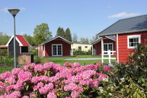 un jardín con flores rosas y una casa roja en De Bijsselse Enk, Noors chalet 4, en Nunspeet