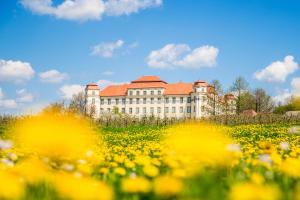 a large building with a field of yellow flowers at Hotel Rad in Tettnang