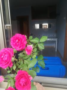 un ramo de rosas rosas sentadas en una mesa en Casa Vacanze Cecilia, en Vasto
