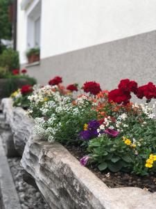 Zahrada ubytování Gasthof Neumeister