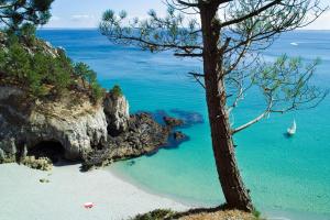 a beach with a tree and a boat in the water at Guest house Chante vent in Douarnenez