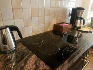 Zestaw do parzenia kawy i herbaty w obiekcie GoldStar Luxury Old Town Krakow Apartment