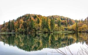 un reflejo de un bosque en un lago en Apartment Andreja, en Selište Drežničko