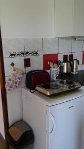 Kuchyň nebo kuchyňský kout v ubytování Apartmán u Kočky