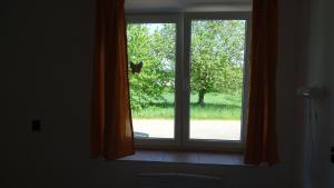 Zahrada ubytování Apartmán u Kočky