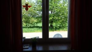 Zahrada ubytování Apartmán u Kočky