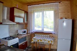 Il comprend une cuisine équipée d'un réfrigérateur, d'une table et d'une fenêtre. dans l'établissement Karpatski Prostory, à Slavsko