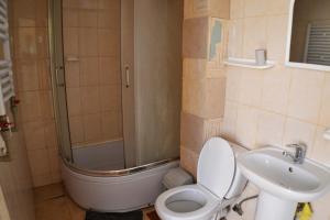 een badkamer met een douche, een toilet en een wastafel bij Karpatski Prostory in Slavske +22 foto's