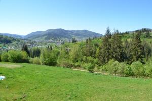 een groen veld met bomen en een stad in de verte bij Karpatski Prostory in Slavske