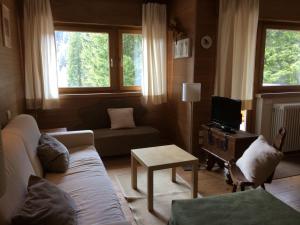 a living room with a couch and a tv at Casa Margherita in Madonna di Campiglio