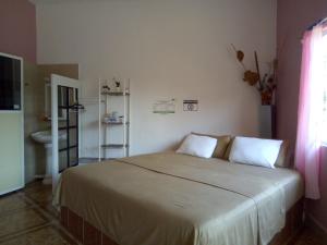 1 dormitorio con 1 cama grande y 2 almohadas en Hospedaje Barrancas, en Cosoleacaque