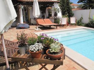a swimming pool with potted plants next to a swimming pool at Casa dos Cactos in Vila Nova de Milfontes