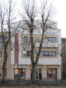 a white building with trees in front of it at Hotel Leon Bianco in Adria