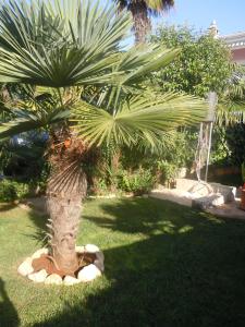 Zahrada ubytování Apartments Skalin