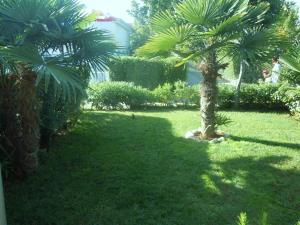 Zahrada ubytování Apartments Skalin