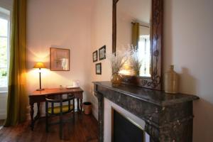 a living room with a fireplace and a mirror at Le Clos des Noyers in Combronde