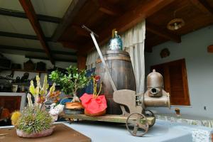 イスキアにあるDa Nannina e Marioの古い水鍋と植物を使用したキッチンカウンター