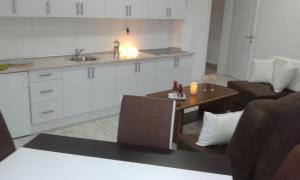 Kuchyň nebo kuchyňský kout v ubytování Apartment VILLA MERCI