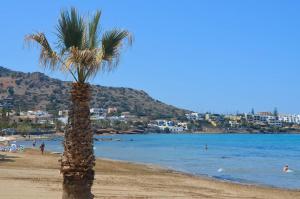 a palm tree on a beach with people in the water at Xenia Stalis Apartments in Stalís