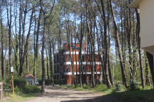 a building in the middle of a forest at Ef Palace Shekvetili in Shekhvetili