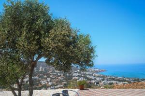 Fotografie z fotogalerie ubytování Villa Xenia Stalis v destinaci Stalida