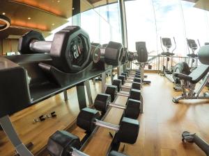 Fitness centrum a/nebo fitness zařízení v ubytování The Astra A719