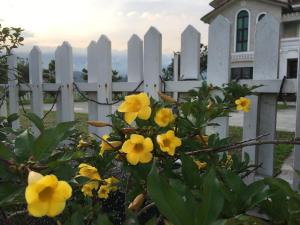Giardino di Sweetlight B&B